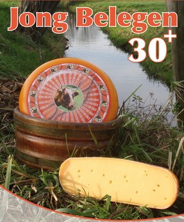 30+ Gouda Cheese 30+ Gouda Cheese