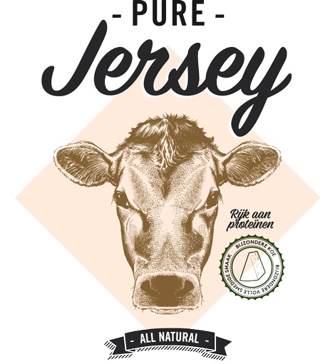 Jersey Gouda cheese Jersey Gouda cheese