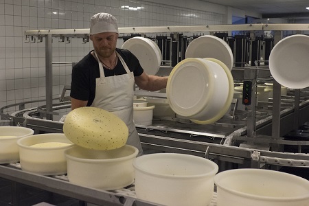 Terschellinger cheese Terschellinger cheese