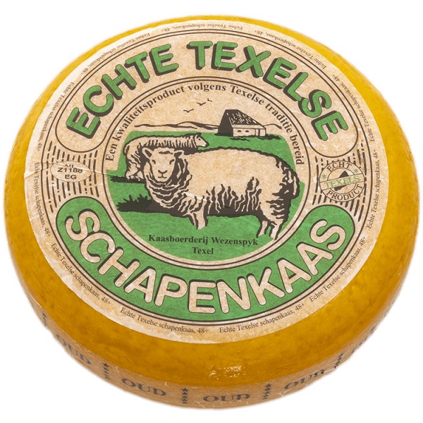 Texel sheep cheese Texel sheep cheese