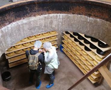 Vlielander Bunker Cheeses Vlielander Bunker Cheeses