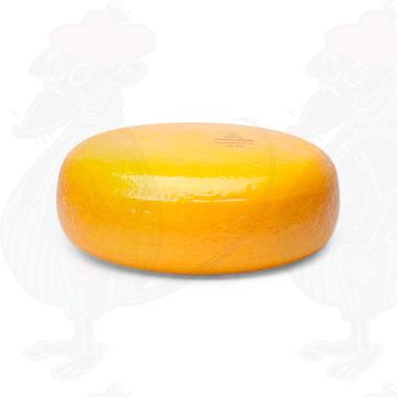Young Gouda Cheese | Entire cheese 4,5 kilo / 9.9 lbs