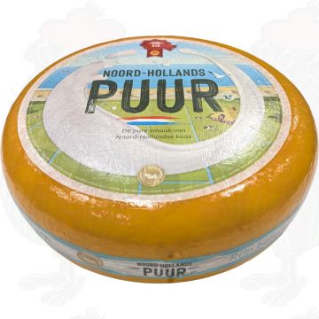 North Holland Gouda Matured | Entire cheese 13 kilo / 28.6 lbs
