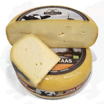 Young matured Organic Gouda cheese