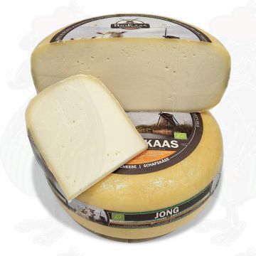 Organic sheep's milk cheese - Gouda Cheese