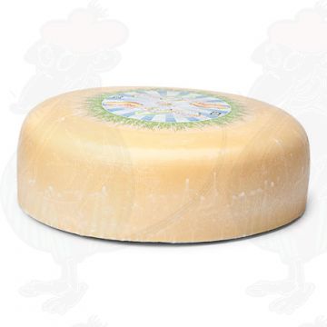 Young matured Organic Gouda cheese | Premium Quality | Entire cheese 7,5 kilo / 16.5 lbs