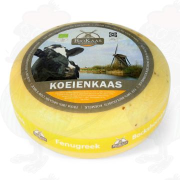 Organic fenugreek cheese - Gouda Cheese | Entire cheese 5,4 kilo / 11.9 lbs