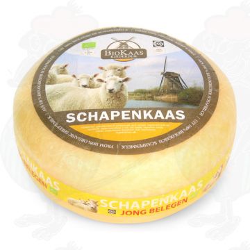 Organic sheep's milk cheese - Gouda Cheese | Premium Quality