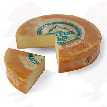 Fontina DOP Cheese