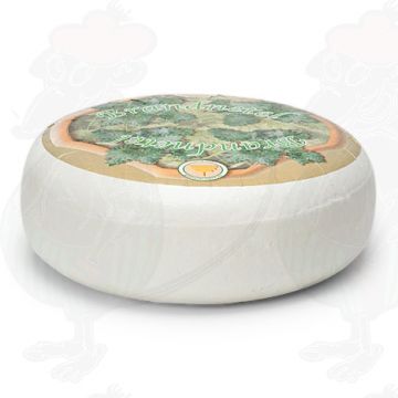Goats Cheese Stinging Nettle | Premium Quality | Entire cheese 4,5 kilo / 9.9 lbs