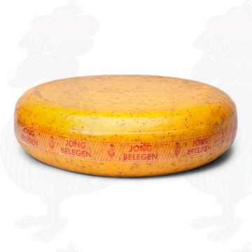 Semi-Matured Cumin Gouda Cheese | Premium Quality | Entire cheese 11 kilo / 24.2 lbs