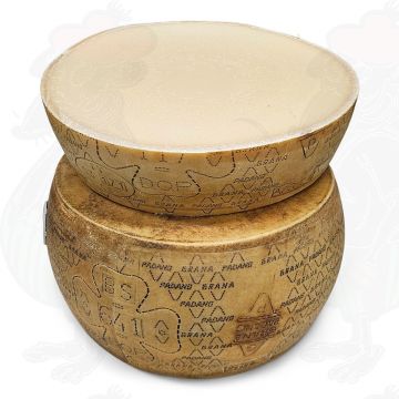 Grana Padano PDO Cheese | Half a cheese 20 kilo - 44 lbs - Dish