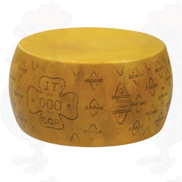 Cheese Dummy Grana Padano