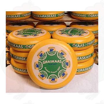 Grassy Cheese - Gouda 2024 | Premium Quality | Entire cheese 12 kilos / 26.4 lbs