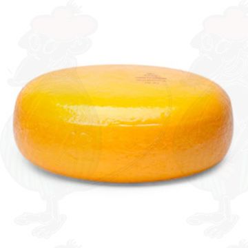 Young Gouda Cheese | Entire cheese 4 kilo
