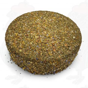 Hayflower cheese | Entire cheese 11 kilo / 24.2 lbs