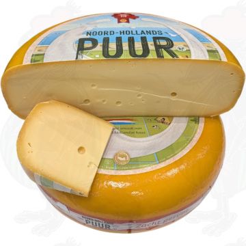 North Holland Gouda Young Matured