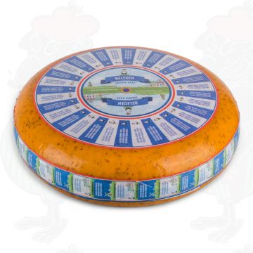 Matured Cumin Gouda Cheese | Premium Quality | Entire cheese 11 kilo / 24.2 lbs