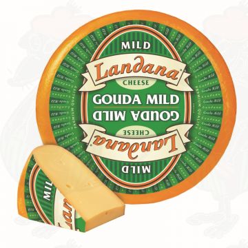 Landana Mild | Entire cheese 12 kilo / 26.4 lbs