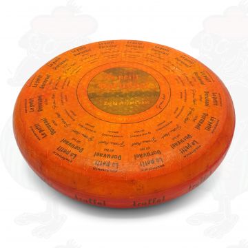 Le Petit Doruvael Truffle | Entire cheese 6 kilo / 13.2 lbs