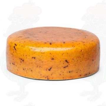 Old Frisian Clove Cheese | Premium Quality | Entire cheese 10 kilo / 22 lbs