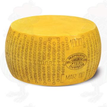 Cheese Dummy Parmesan Reggiano