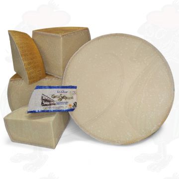 Parmigiano Reggiano D.O.P. - 24 months | Premium Qualität | 875 grams - 1.9 lbs