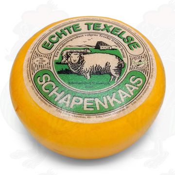 Texel Sheep Cheese Young Matured | Entire cheese 9 kilo / 20 lbs