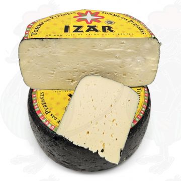 Tomme des Pyrénées