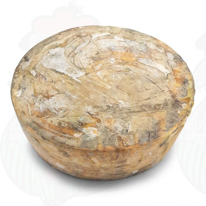 Aged leicestershire red | Entire cheese 3,6 kilo / 7.9 lbs main product photo