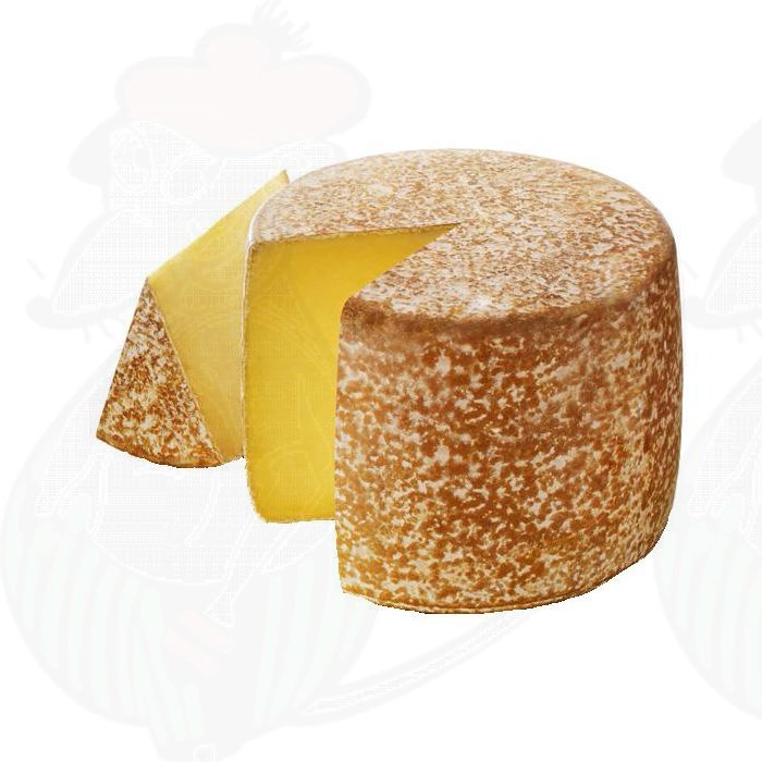 Cantal AOP Entire cheese 10 kilos 22 lbs Buy Online