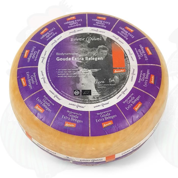 Extra Matured Gouda Biodynamic cheese - Demeter | Entire cheese 11 kilo / 24.2 lbs main product photo
