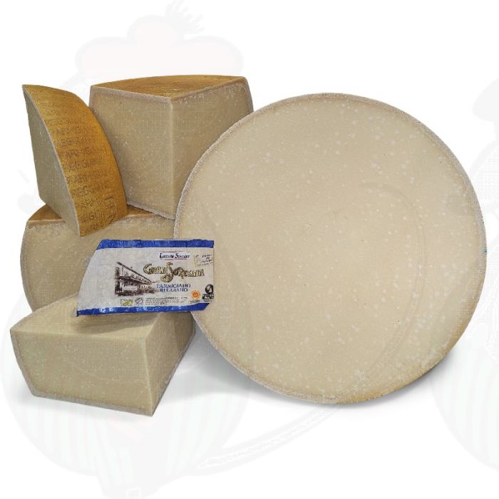 Parmigiano Reggiano auctioning 21-year-old cheese wheel for charity