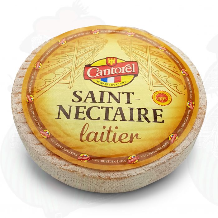 Saint nectaire | Entire cheese 1,65 kilo / 3.6 lbs main product photo