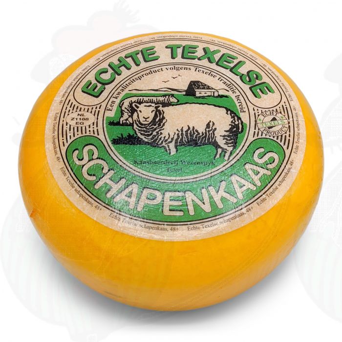 Texel Sheep Cheese Young Matured | Entire cheese 9 kilo / 20 lbs main product photo
