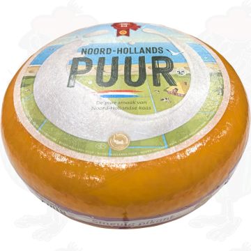 Extra Matured North Holland Gouda cheese with the Red Seal | Entire cheese 12 kilo / 26.4 lbs