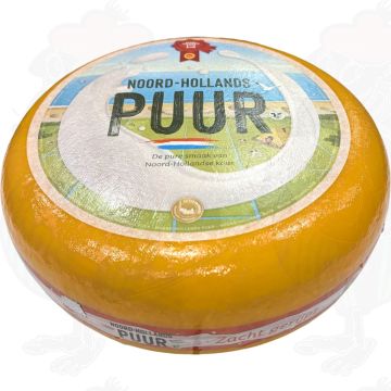 North Holland Gouda Young Matured | Entire cheese 13 kilo / 28.6 lbs