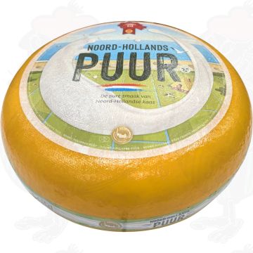 North Holland Gouda Young | Entire cheese 13 kilo / 28.6 lbs