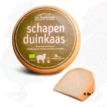 schapen-duinkaas-zeekraal.jpg