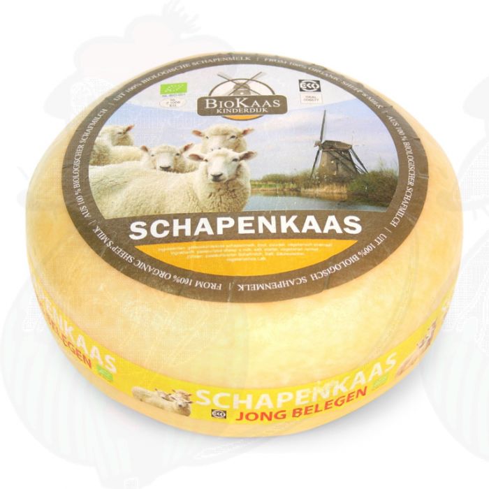 Manchego, the Spanish sheep cheese