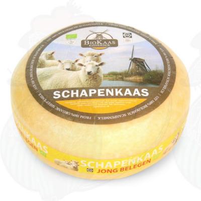 Manchego, the Spanish sheep cheese